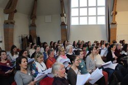  IMG 5740 