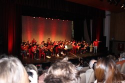  IMG 4788 